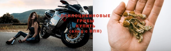 ГАЛЛЮЦИНОГЕННЫЕ ГРИБЫ Абинск
