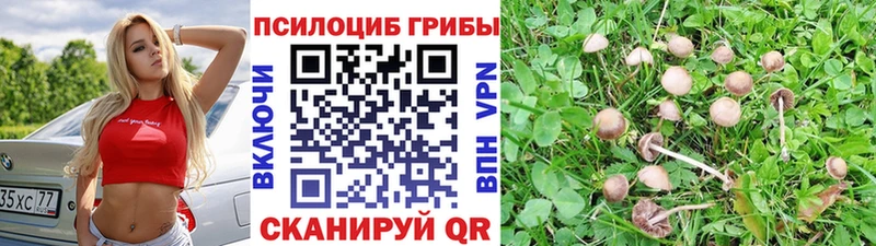 Галлюциногенные грибы MAGIC MUSHROOMS  кракен   Суздаль 
